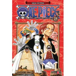 ONE PIECE 25