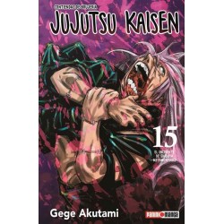 Jujutsu Kaisen 15