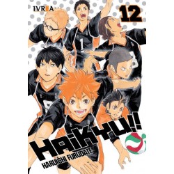 HAIKYU!! 12